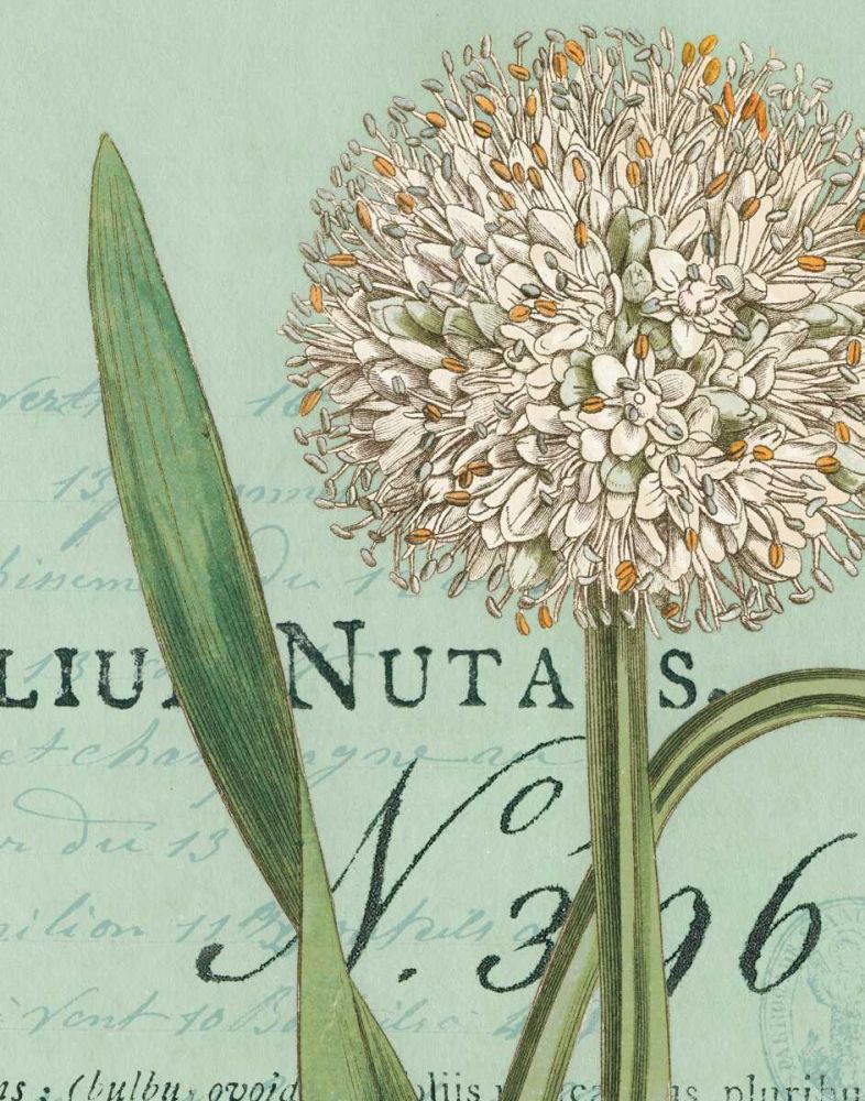 Botanique Bleu II art print by Wild Apple Portfolio for $57.95 CAD