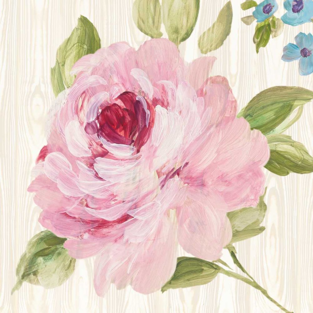 Driftwood Garden IV art print by Wild Apple Portfolio for $57.95 CAD