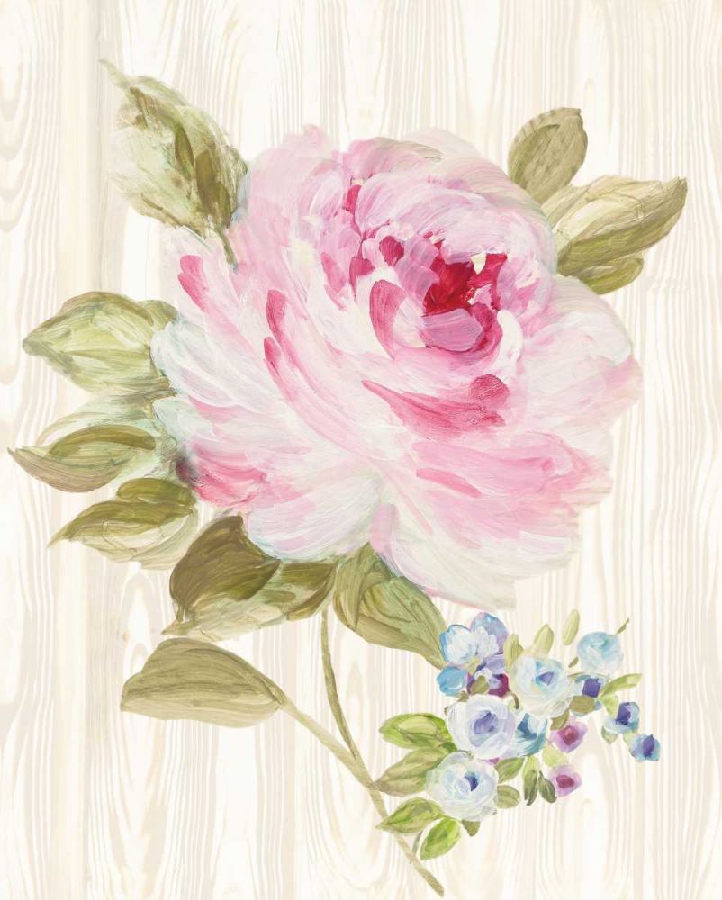 Driftwood Garden V art print by Wild Apple Portfolio for $57.95 CAD
