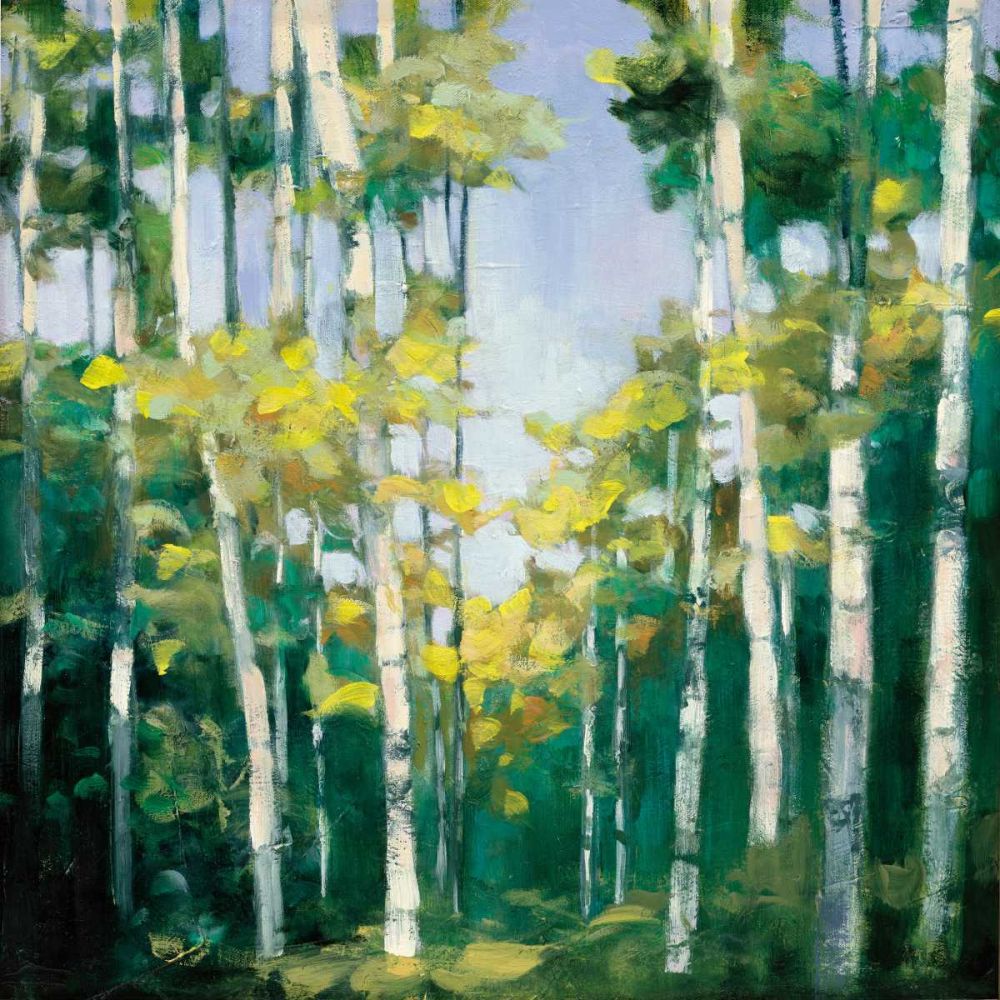 Cripple Creek art print by Julia Purinton for $57.95 CAD