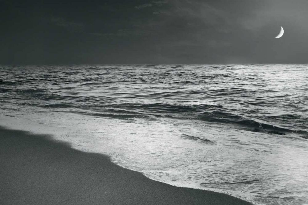 Moonrise Beach Black and White art print by Sue Schlabach for $57.95 CAD