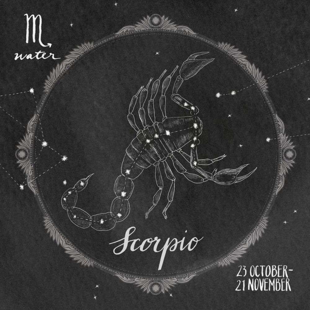 Night Sky Scorpio art print by Sara Zieve Miller for $57.95 CAD