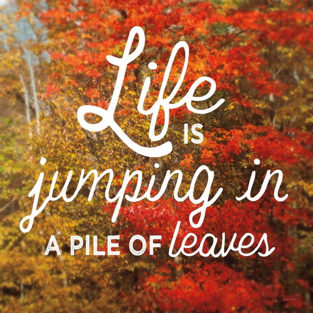Life is for Jumping art print by Sue Schlabach for $57.95 CAD