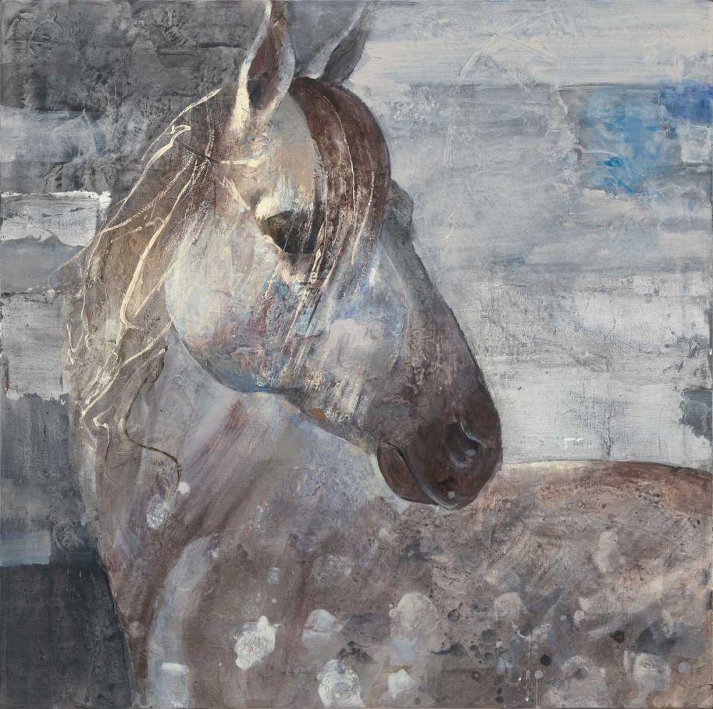 Appaloosa art print by Albena Hristova for $57.95 CAD