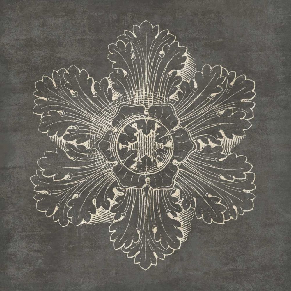 Rosette V Gray art print by Wild Apple Portfolio for $57.95 CAD
