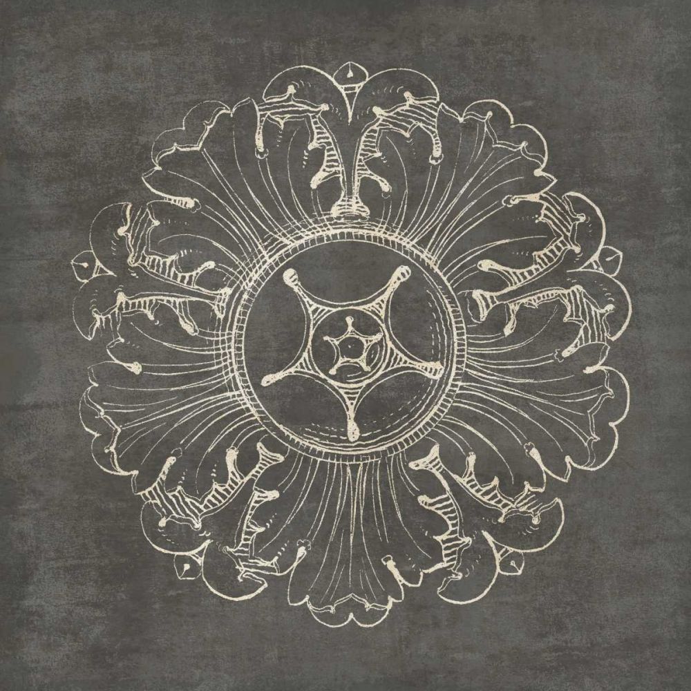 Rosette VI Gray art print by Wild Apple Portfolio for $57.95 CAD