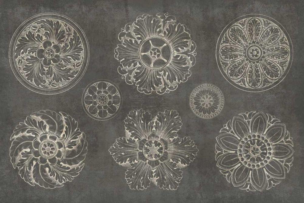 Rosette IX Gray art print by Wild Apple Portfolio for $57.95 CAD