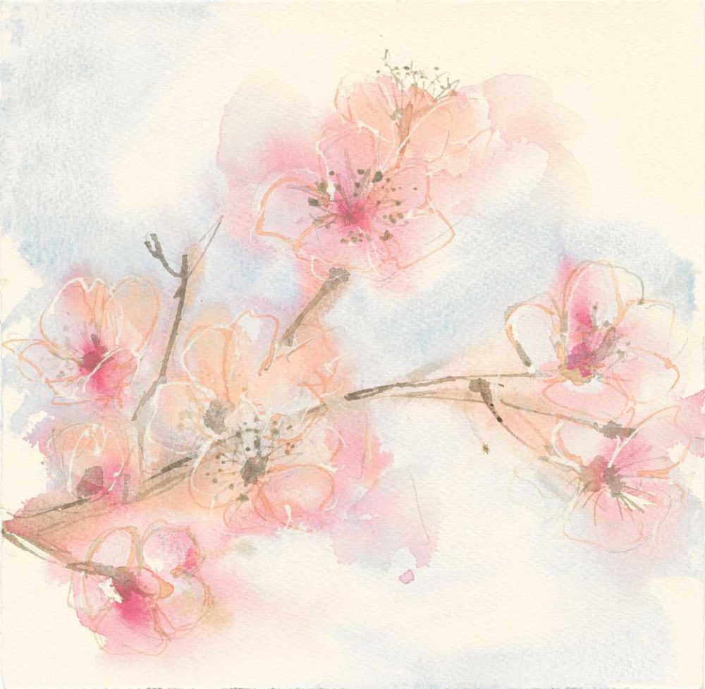 Pink Blossoms II art print by Chris Paschke for $57.95 CAD
