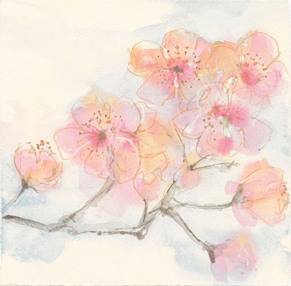 Pink Blossoms III art print by Chris Paschke for $57.95 CAD