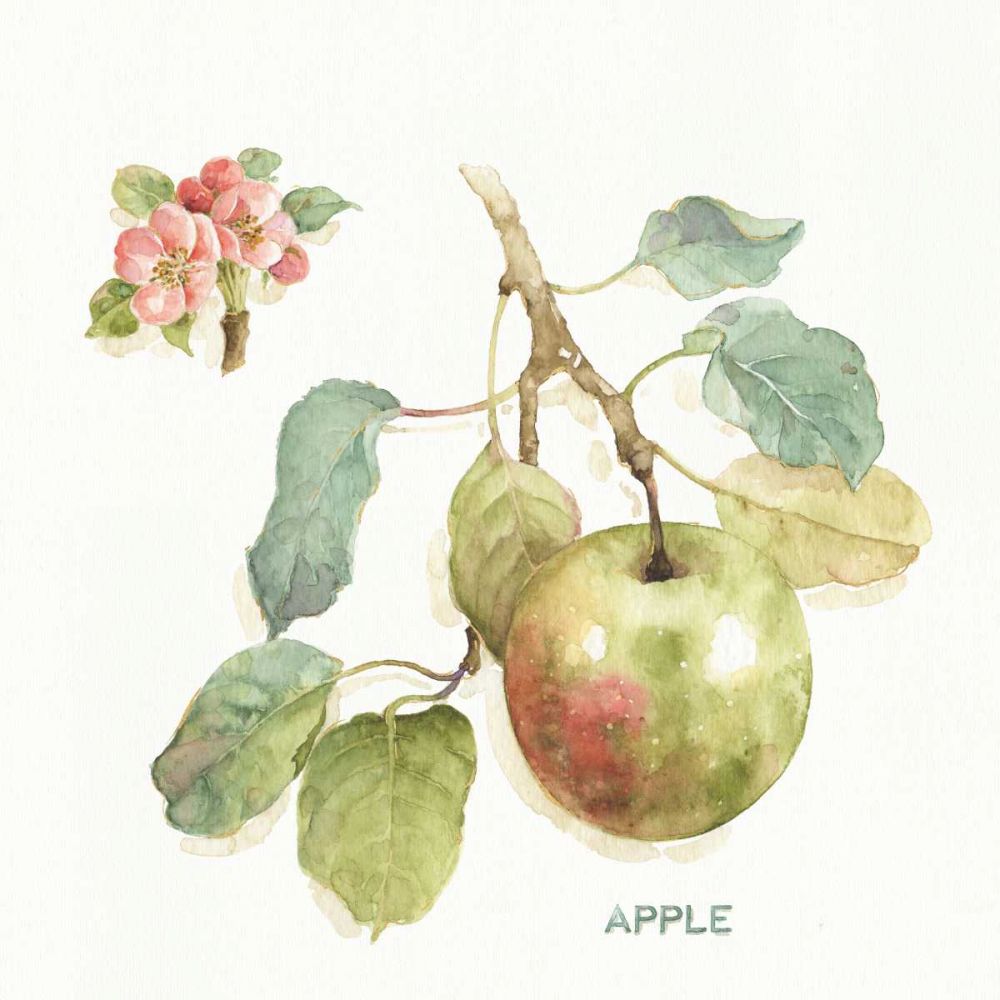 Orchard Bloom I art print by Lisa Audit for $57.95 CAD