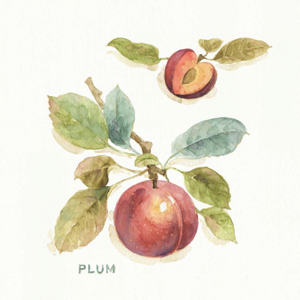 Orchard Bloom IV art print by Lisa Audit for $57.95 CAD