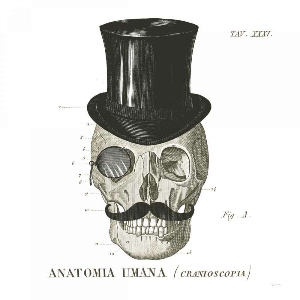 Dandy Bones I art print by Sue Schlabach for $57.95 CAD