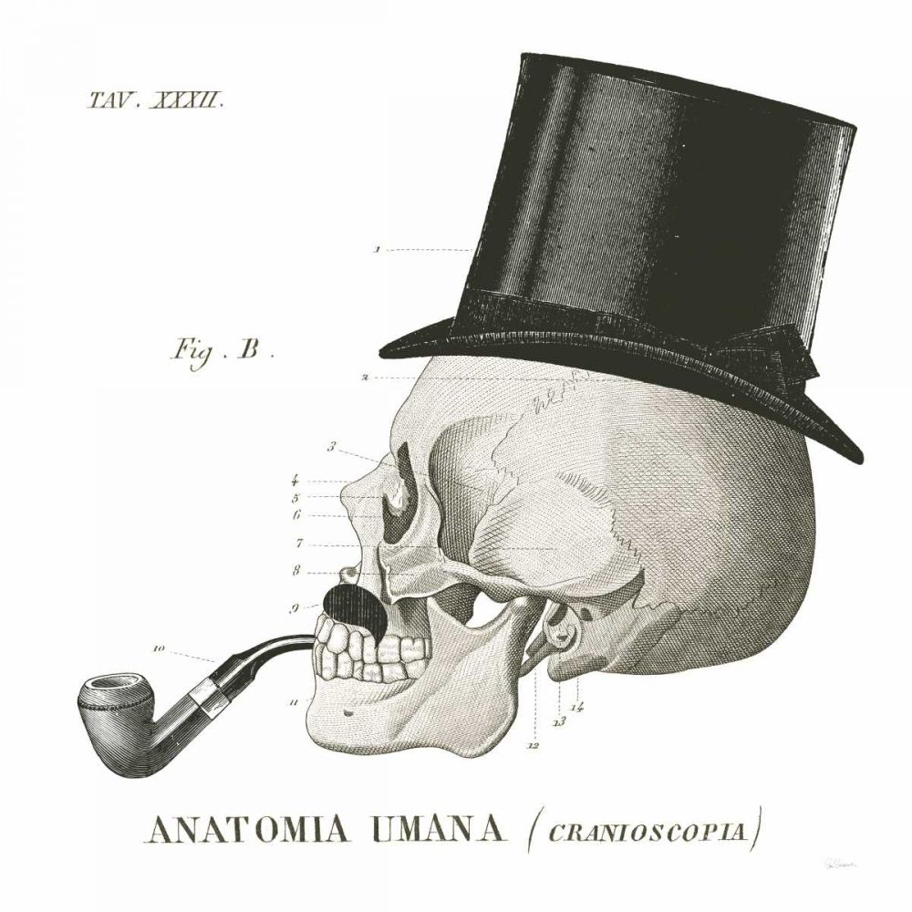 Dandy Bones II art print by Sue Schlabach for $57.95 CAD
