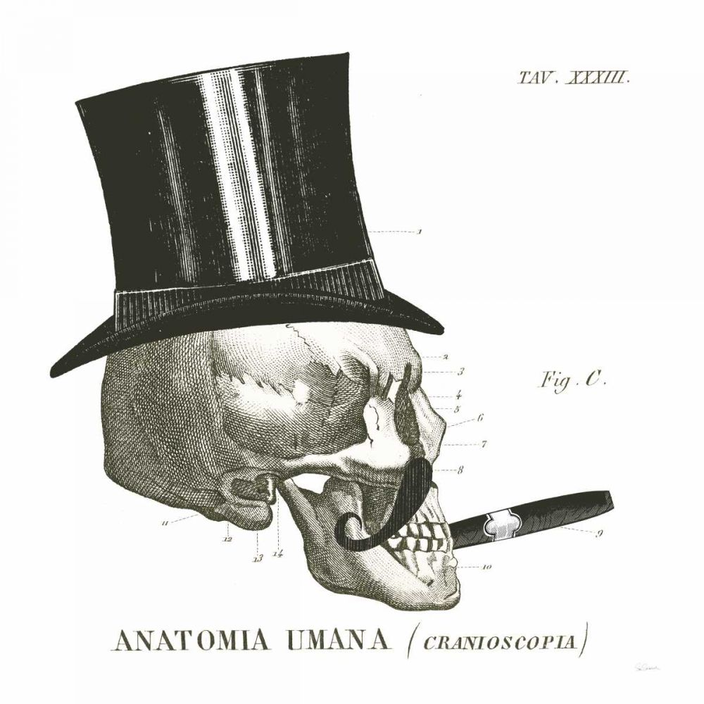 Dandy Bones III art print by Sue Schlabach for $57.95 CAD