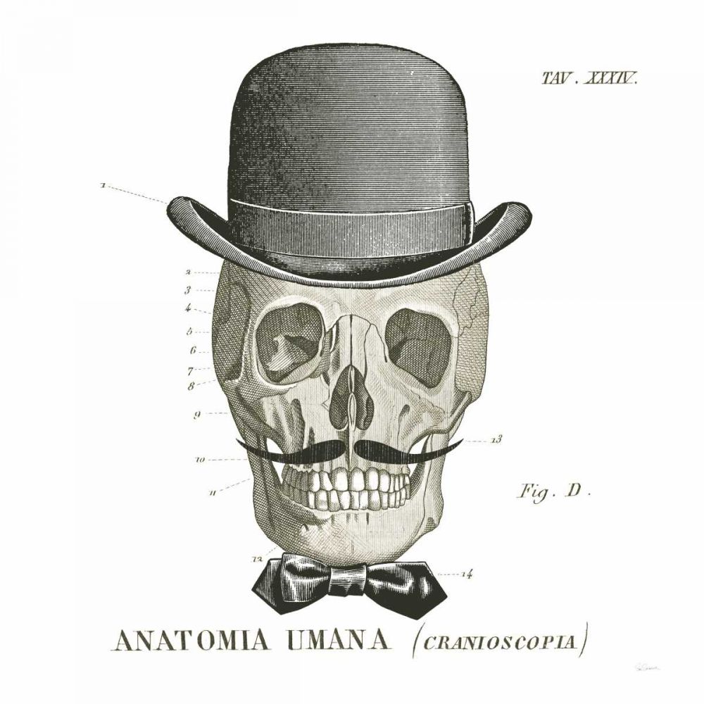 Dandy Bones IV art print by Sue Schlabach for $57.95 CAD