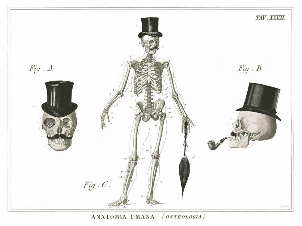 Dandy Bones art print by Sue Schlabach for $57.95 CAD