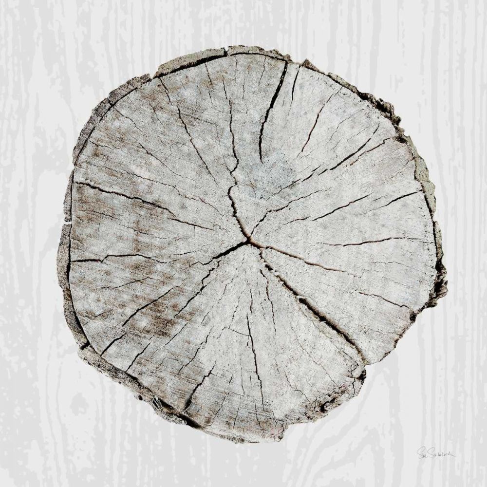 Woodland Years I art print by Sue Schlabach for $57.95 CAD