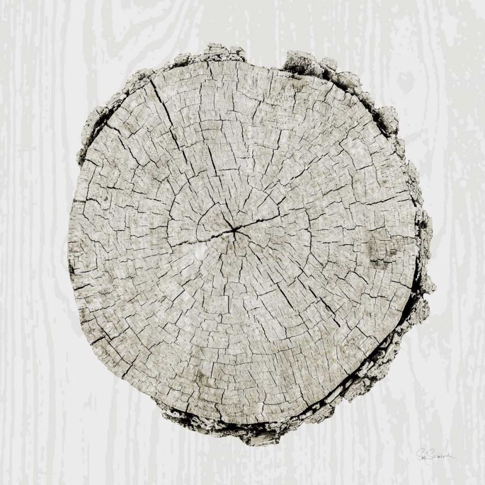 Woodland Years II art print by Sue Schlabach for $57.95 CAD