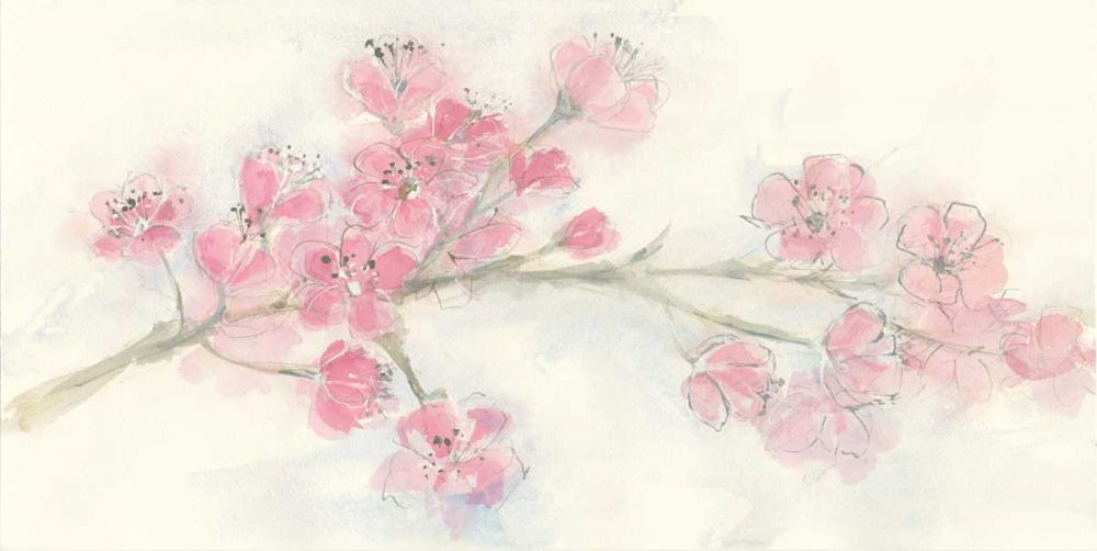 Cherry Blossom I art print by Chris Paschke for $57.95 CAD