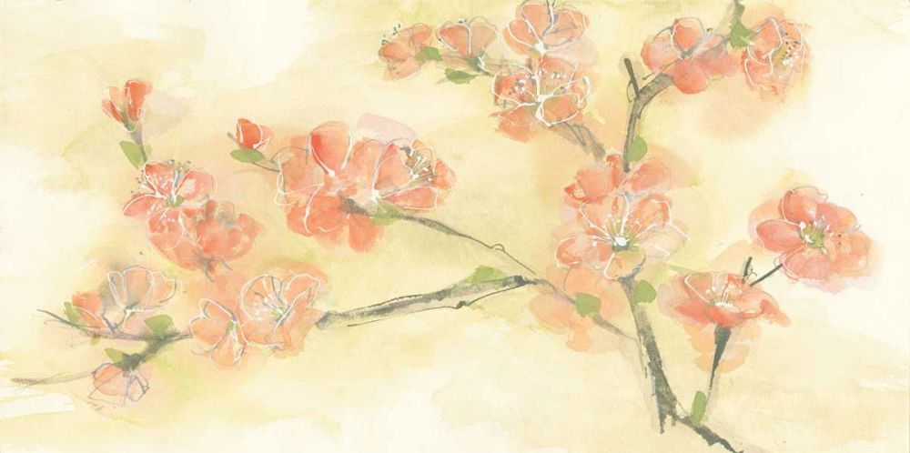 Tinted Blossoms II art print by Chris Paschke for $57.95 CAD