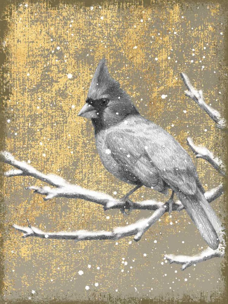 Winter Birds Cardinal Neutral art print by Beth Grove for $57.95 CAD
