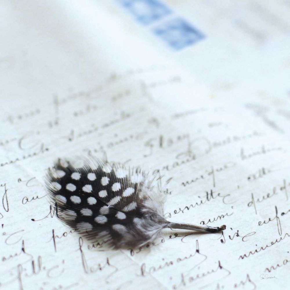 Plume Letters I art print by Sue Schlabach for $57.95 CAD