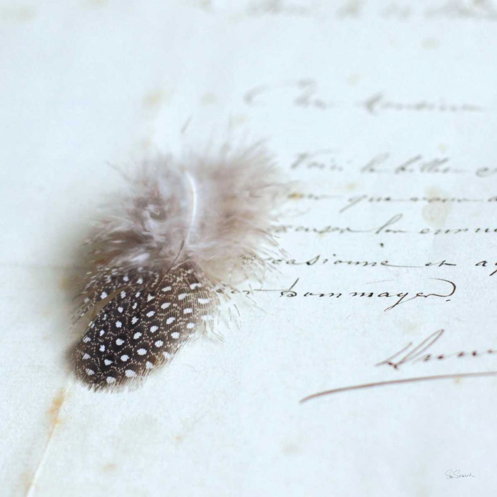 Plume Letters II art print by Sue Schlabach for $57.95 CAD
