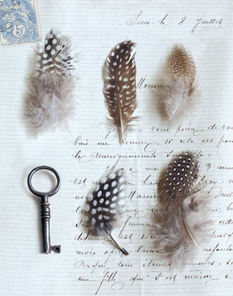 Plume Letters V art print by Sue Schlabach for $57.95 CAD