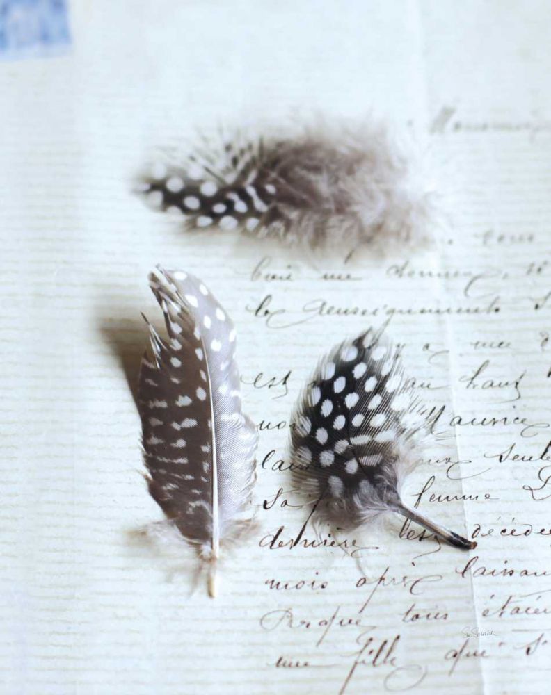 Plume Letters VI art print by Sue Schlabach for $57.95 CAD