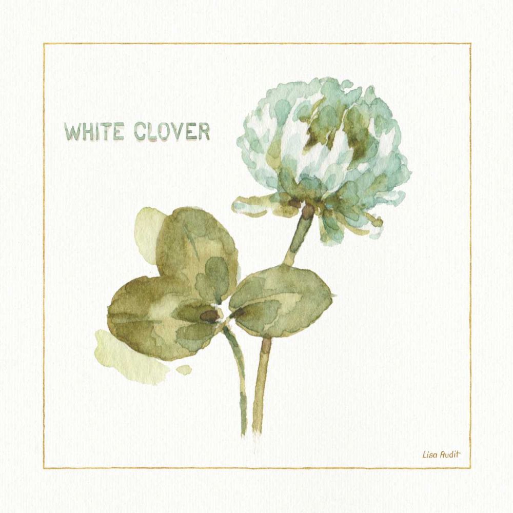 My Greenhouse White Clover art print by Lisa Audit for $57.95 CAD