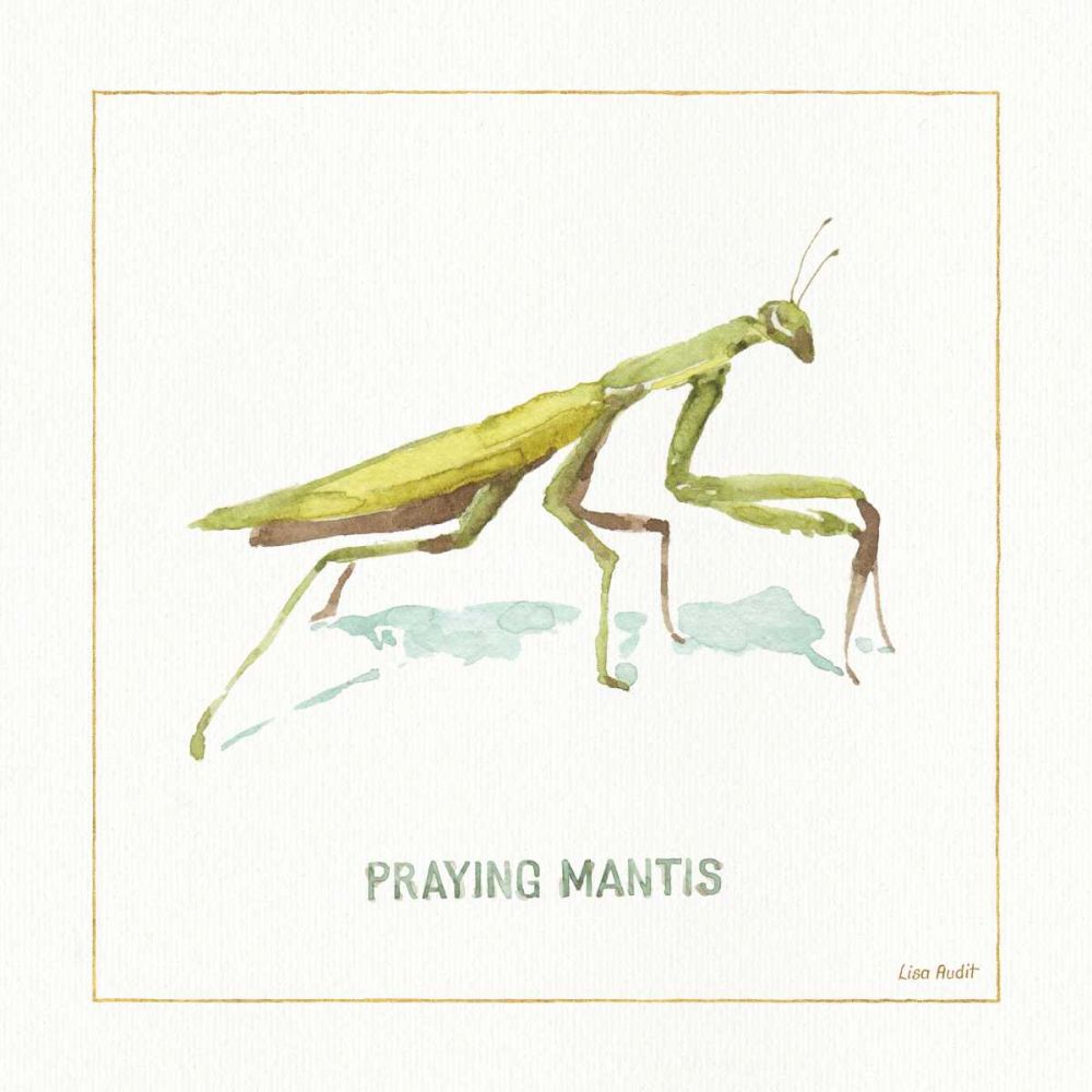 My Greenhouse Pray Mantis art print by Lisa Audit for $57.95 CAD