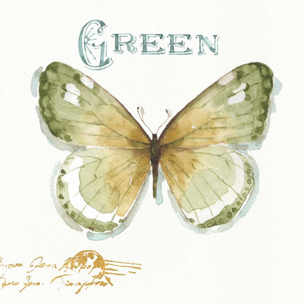 My Greenhouse Butterflies IV art print by Lisa Audit for $57.95 CAD