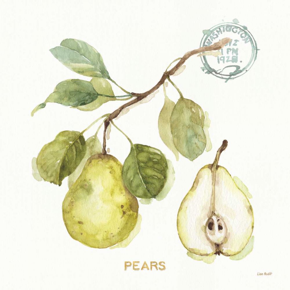 My Greenhouse Fruit I art print by Lisa Audit for $57.95 CAD