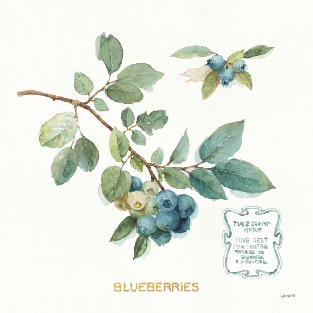 My Greenhouse Fruit II art print by Lisa Audit for $57.95 CAD