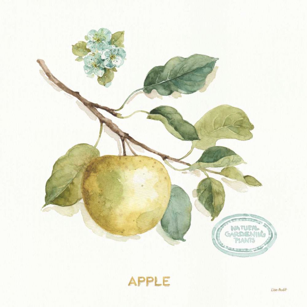 My Greenhouse Fruit IV art print by Lisa Audit for $57.95 CAD
