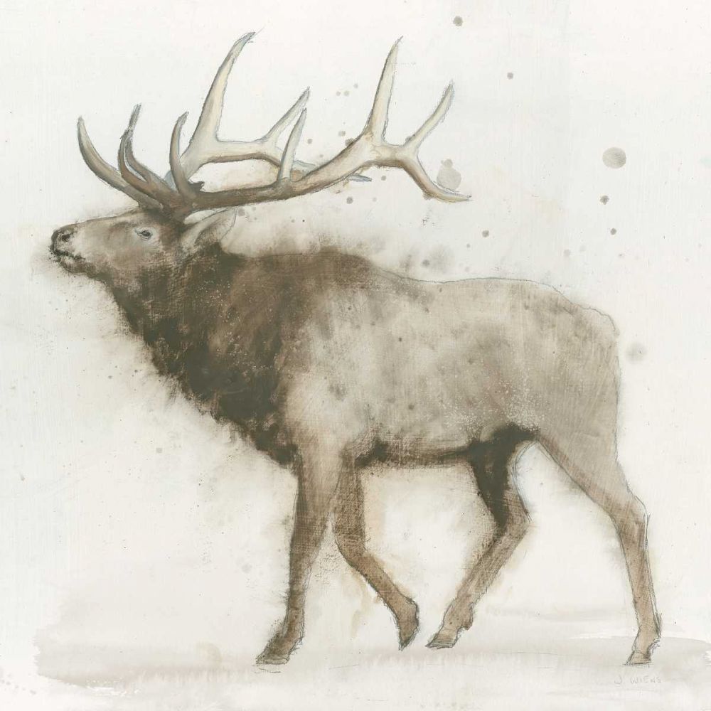 Elk v.2 art print by James Wiens for $57.95 CAD