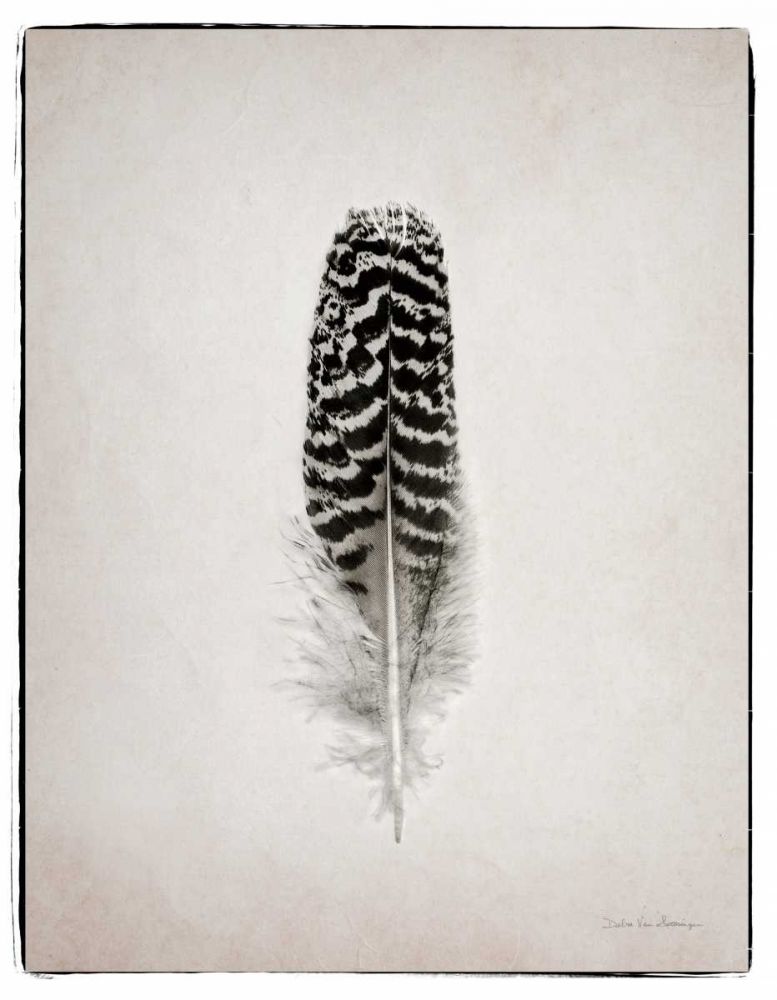 Feather I BW art print by Debra Van Swearingen for $57.95 CAD
