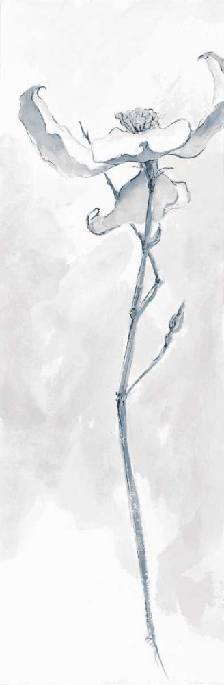 Solitary Dogwood IV Gray art print by Chris Paschke for $57.95 CAD