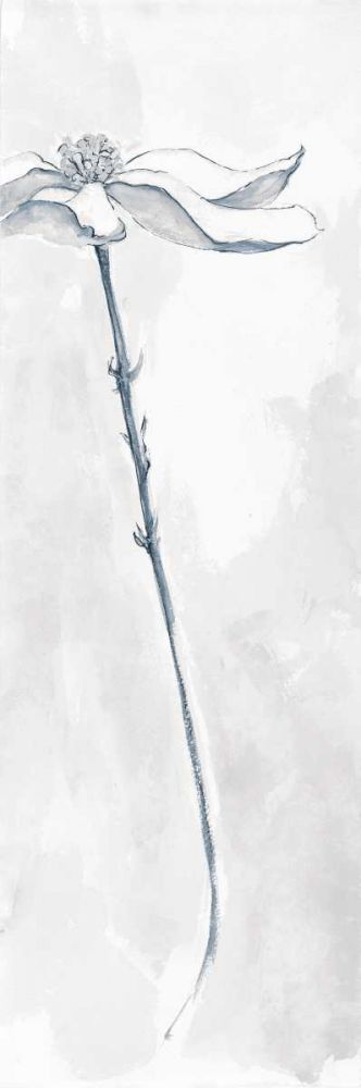Solitary Dogwood V Gray art print by Chris Paschke for $57.95 CAD
