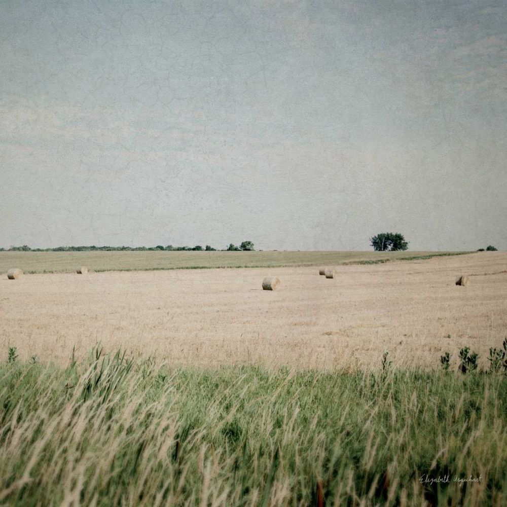 Neutral Country II Crop art print by Elizabeth Urquhart for $57.95 CAD