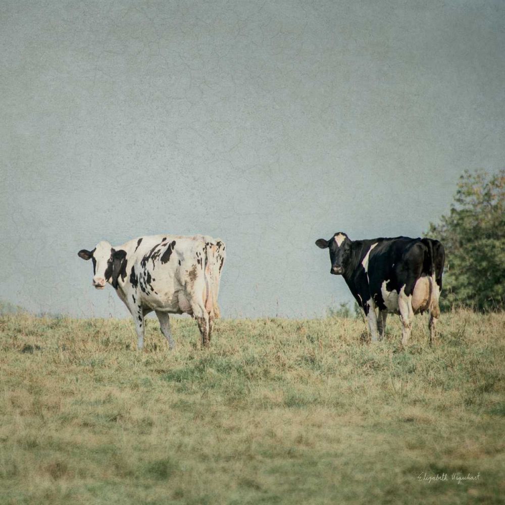 Neutral Country III Crop art print by Elizabeth Urquhart for $57.95 CAD