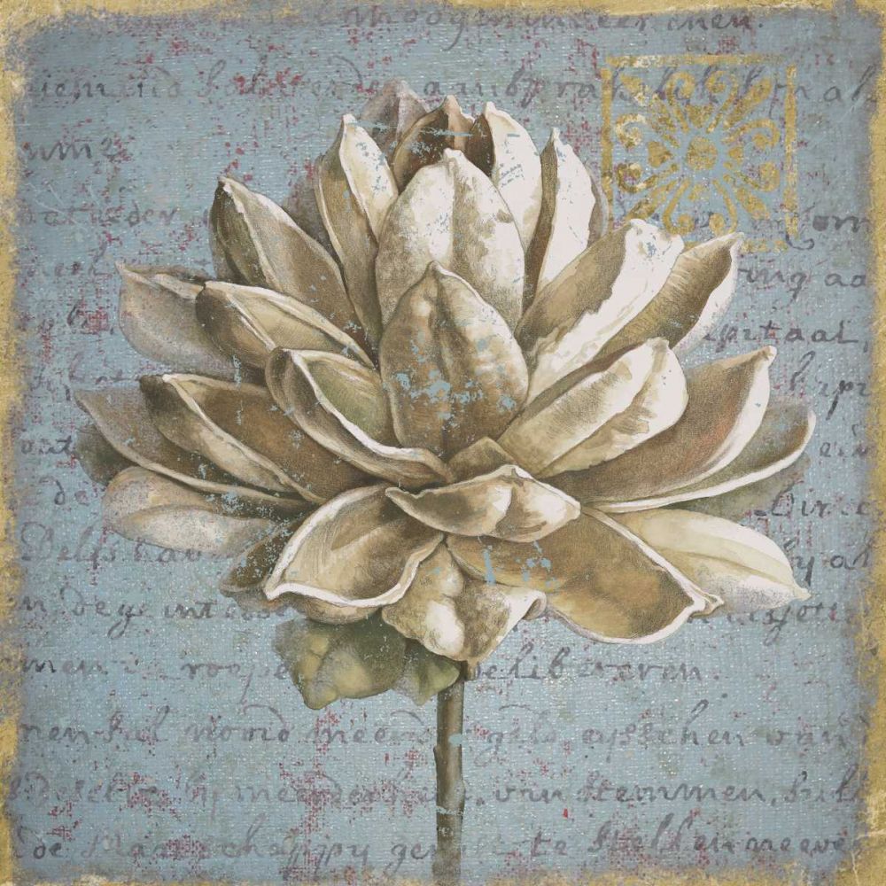 Seed Pod I art print by Beth Grove for $57.95 CAD