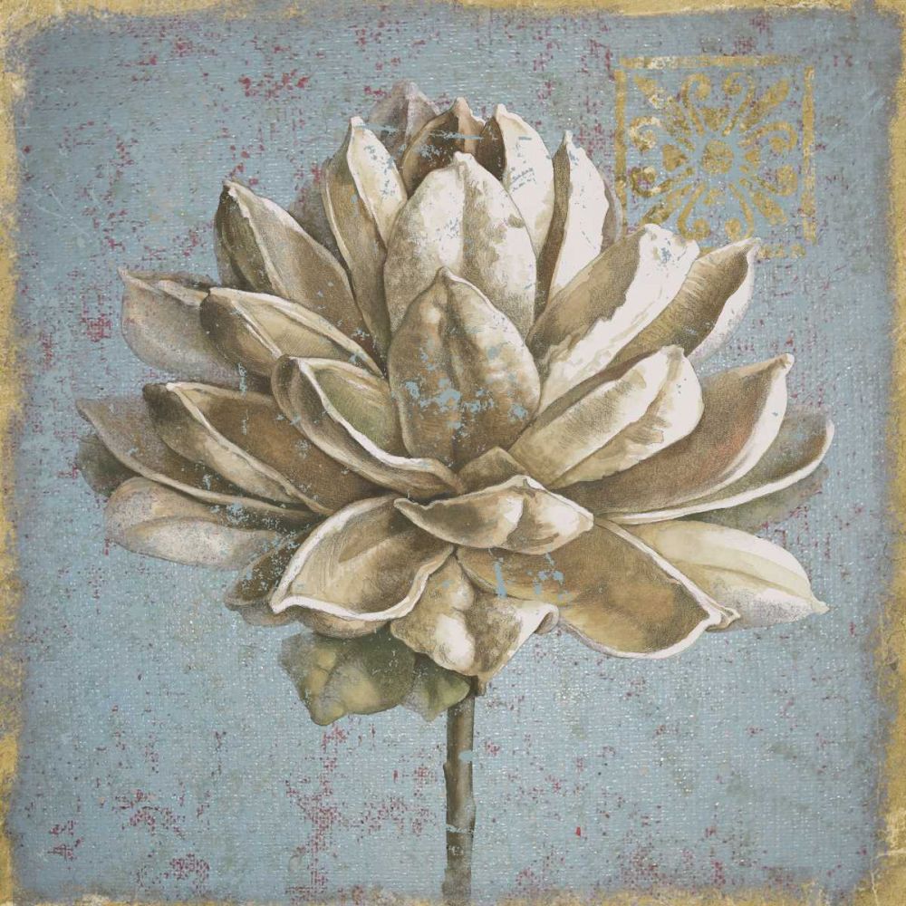 Seed Pod I no Words art print by Beth Grove for $57.95 CAD
