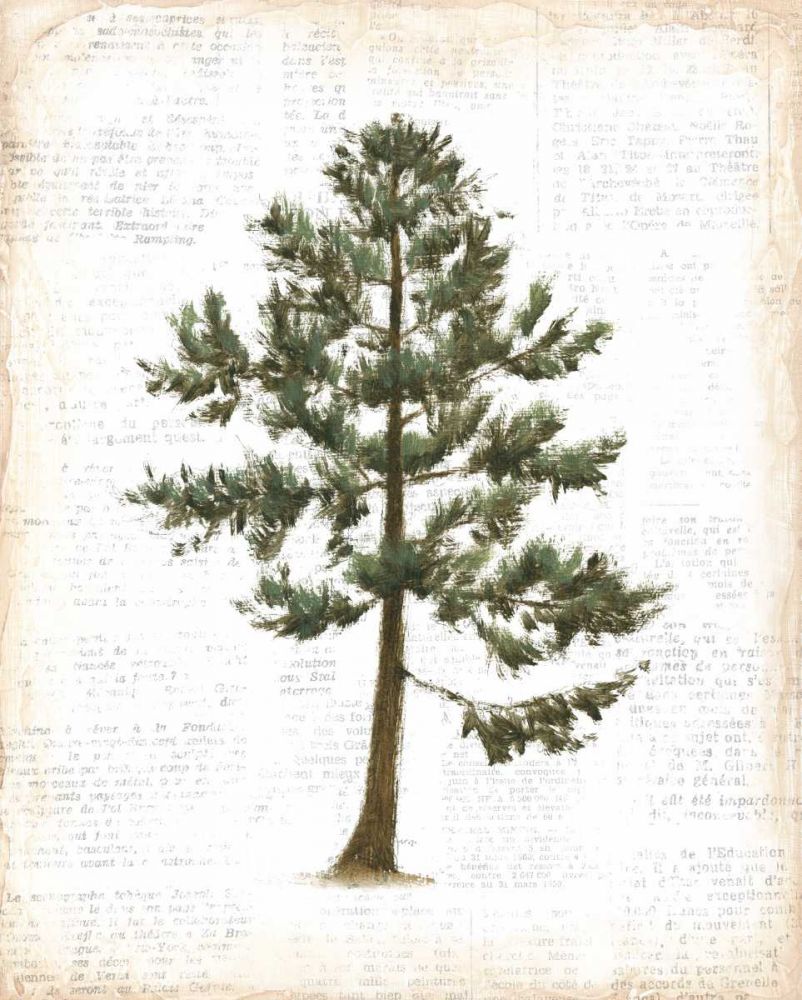 Into the Woods Trees I art print by Emily Adams for $57.95 CAD