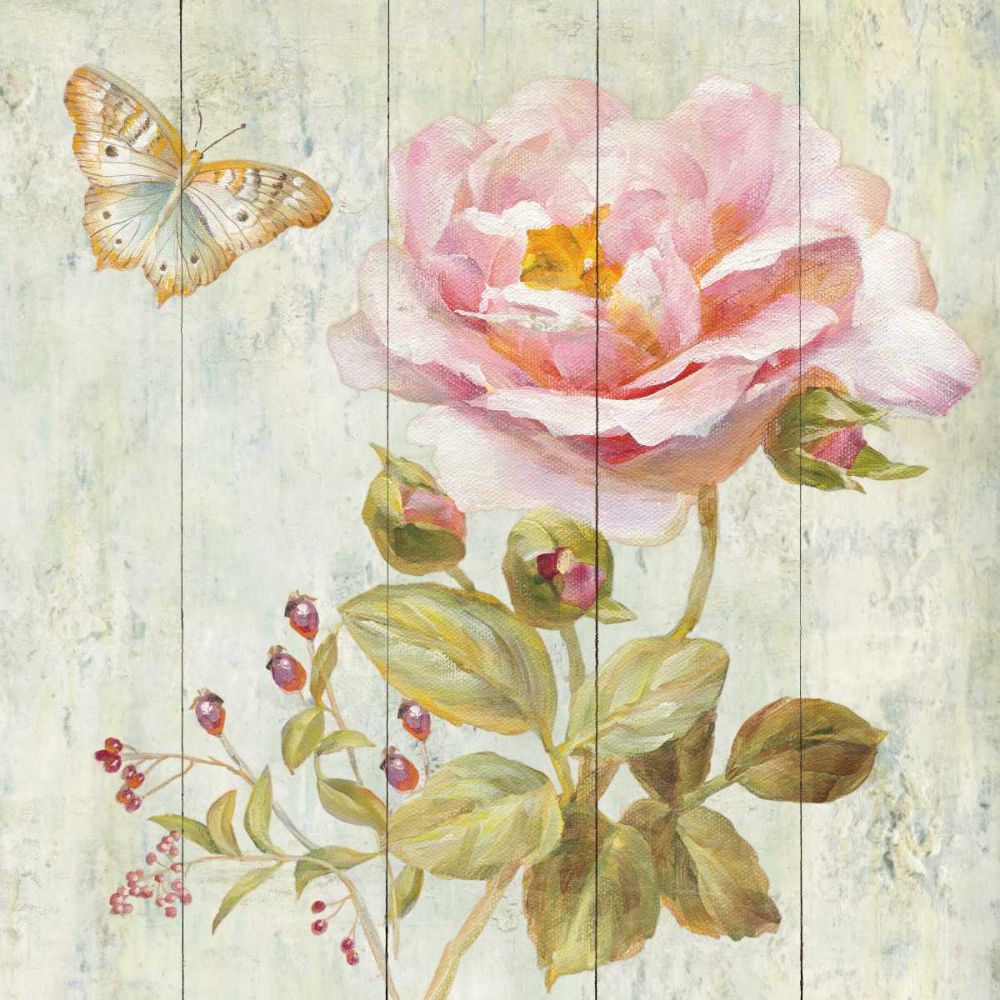 Natural Flora II art print by Danhui Nai for $57.95 CAD