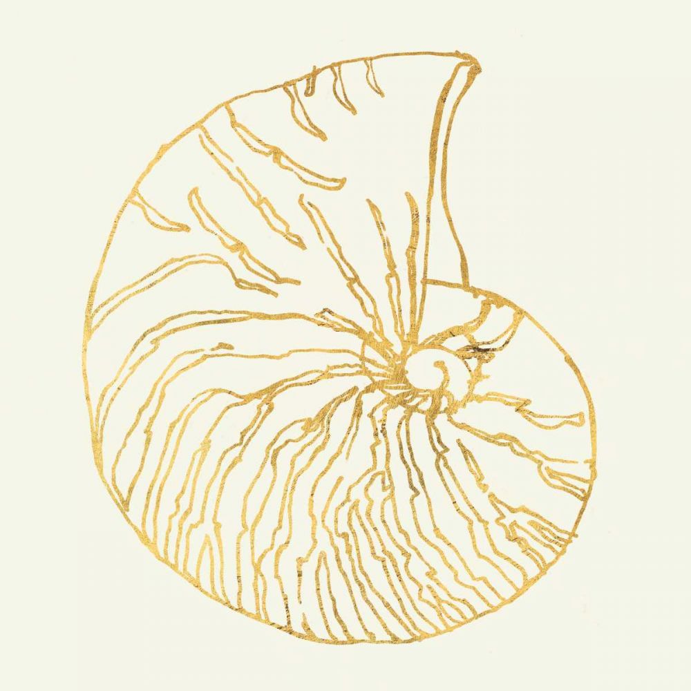 Coastal Breeze Shell Sketches art print by Anne Tavoletti for $57.95 CAD