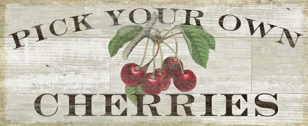 Farm Fresh Cherries art print by Sue Schlabach for $57.95 CAD