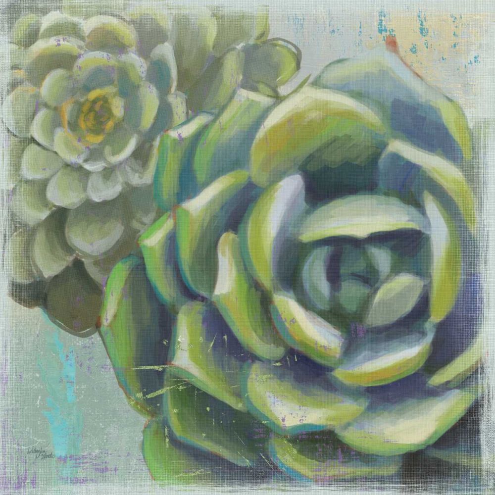 Succulents II art print by Wellington Studio for $57.95 CAD