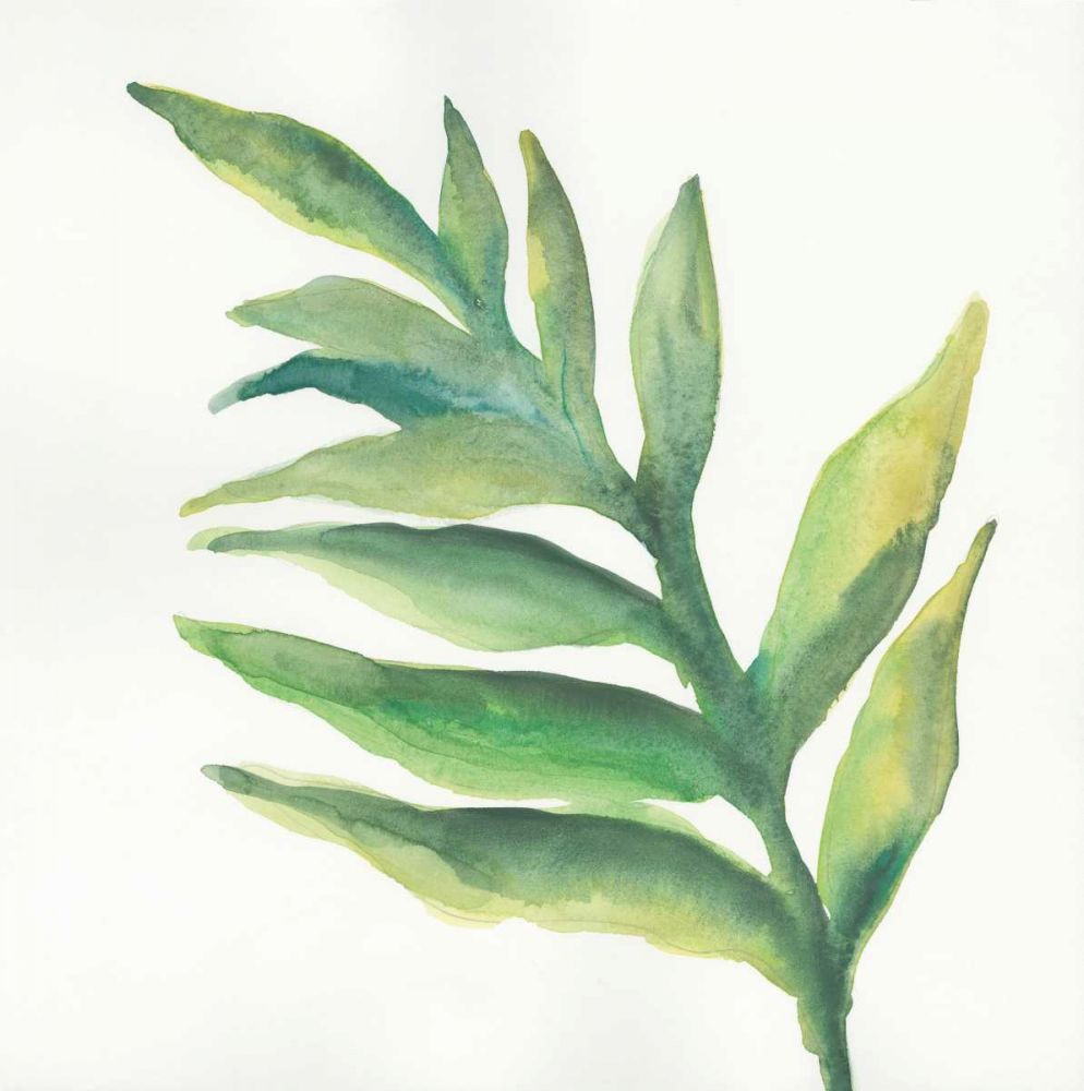 Tropical Palm I art print by Chris Paschke for $57.95 CAD