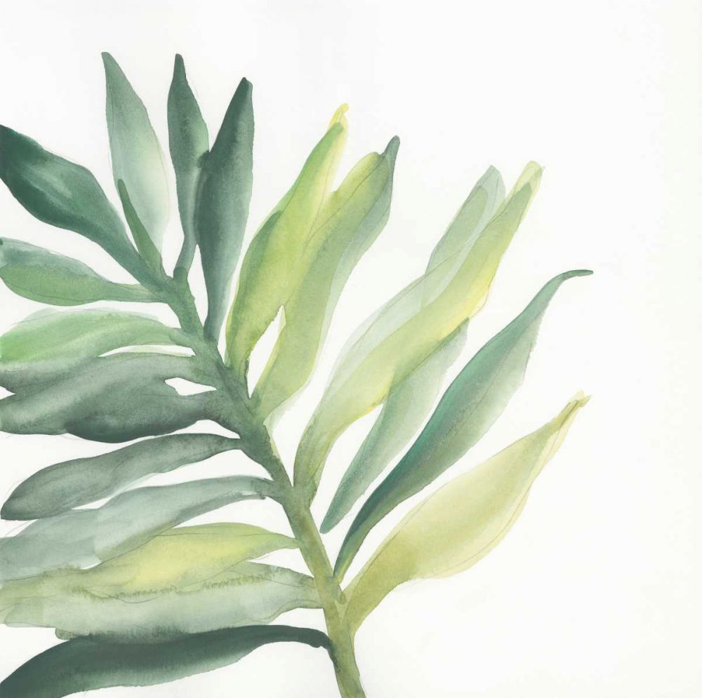Tropical Palm III art print by Chris Paschke for $57.95 CAD